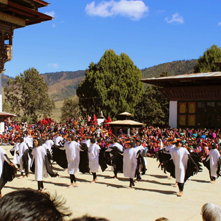 Black-Necked Crane Festival in Phobjikha Valley